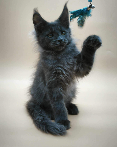 9370332B-335C-474E-98E8-4120699449C0