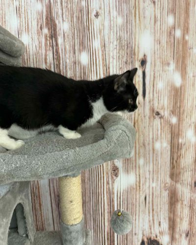 949D8405-708A-4AA7-A24A-285B6E6F4D87