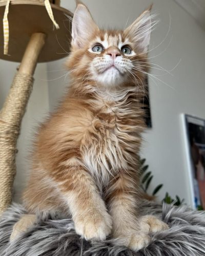 95cf5bdc-b1ab-4a7b-ad50-661969517958