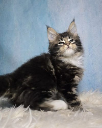 9728e6f7-de6b-44a7-85d7-32c3ec9f0980