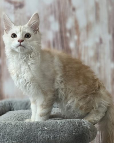 978038c1-4db3-4b77-9f28-73f8b188ca69