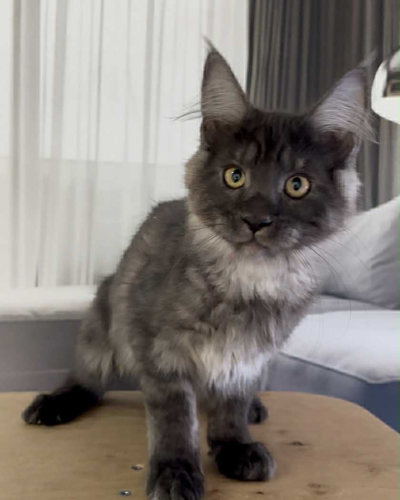 98EB42B7-6426-4F36-AF48-AC43804D11CF