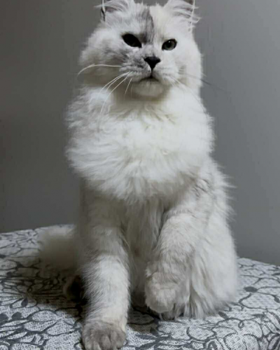 9994596D-2F06-4CE7-9536-ADE9EDAEB72A