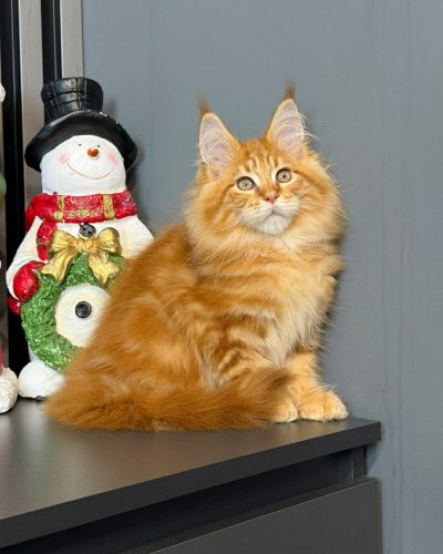 99f0f310-bb1a-4b75-a978-0fdb28788cca