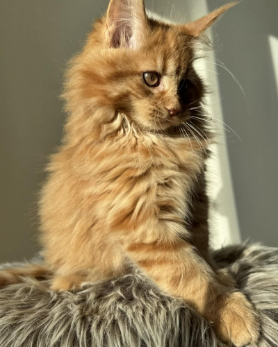 9A12B779-E863-4EBD-BC3F-40DB1FDF207D