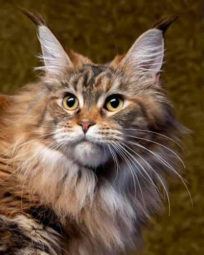 9A161DB2-314D-421C-9956-FDA97FCBB2C5