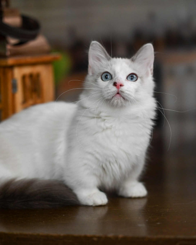 9B316D4C-C62A-470E-A9A8-6D6CA2DEB8B1