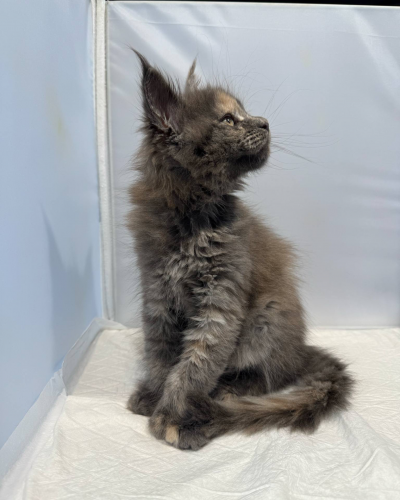 9BF4A25D-5412-4E68-ABBB-C0D501126D2E