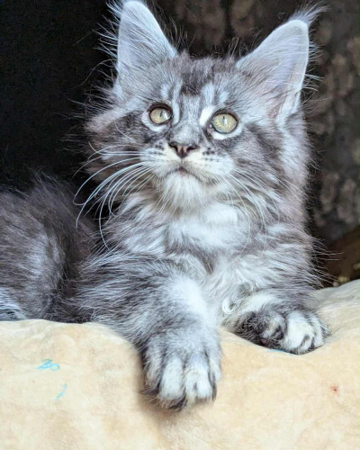 9CA597A9-1478-47DE-815D-D3F78D1C7177