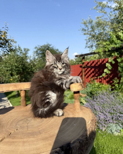 9F029D52-968C-4FA9-8B77-84704BF4110A