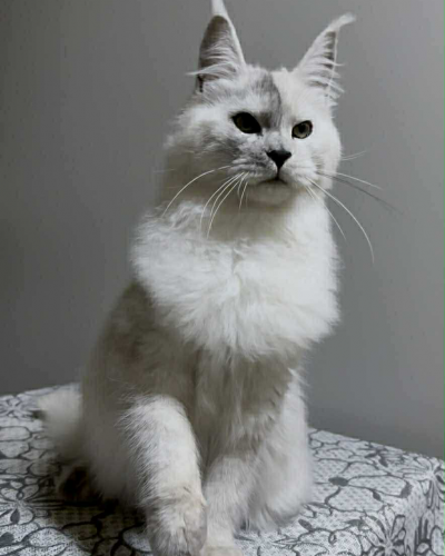 9F0788CF-CE5E-46B6-BA9E-5F7C15928295