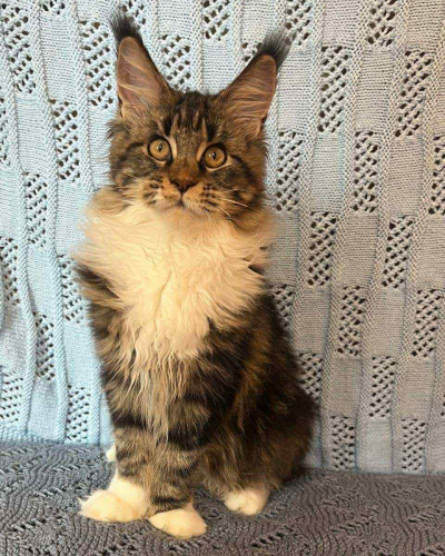 9F53F8CC-82D3-43F4-A4BA-D9A383C1B2F5