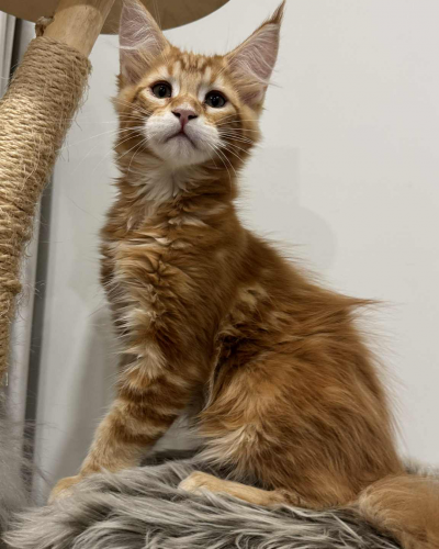 9FAA537C-529D-4DE7-9C27-8CD89D3EB412