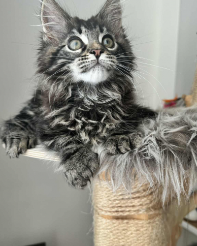 9FD186F1-1CE1-4B82-B0D7-0F9252BC49E3