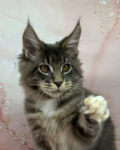 9a6e02fc-14df-4774-bb74-b7ea4bf0e961