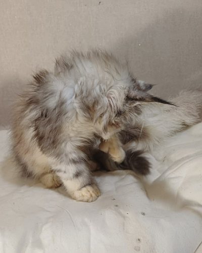 9eafb744-2999-4365-8e23-189d05081d33