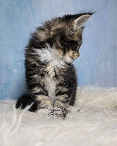 9ec4aa9c-f88d-4ee2-ac20-74c0ec208b18