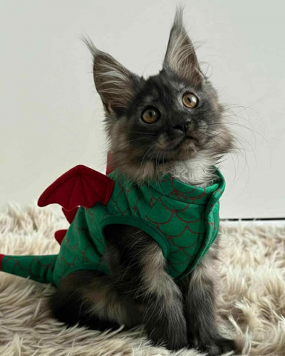 A20CE7A3-41C3-4FAF-86B6-46F033EE3695