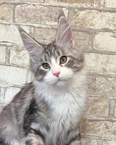 A2977EF5-17DB-49FE-A518-287478F7BD7F