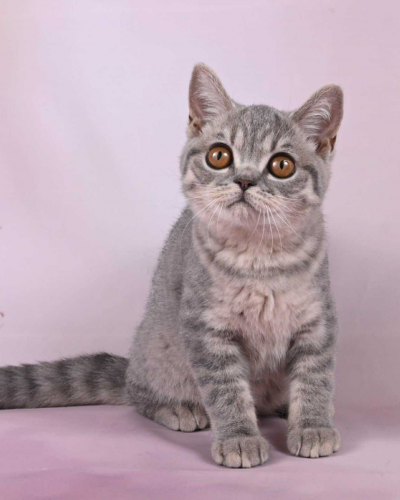 A30B359F-8A29-4DB5-B14A-0281EBF64F6B