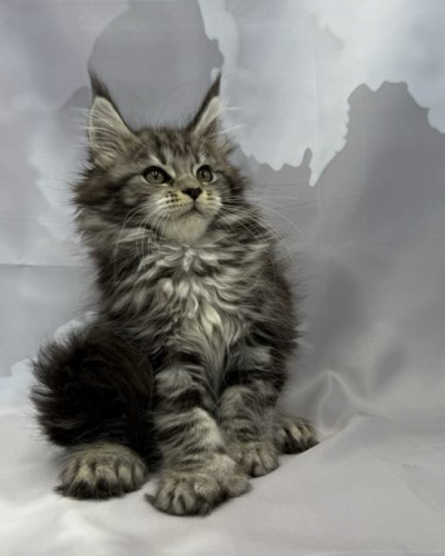 A3BBB9F8-F8FB-4CAF-B45C-A22B1A31A86B