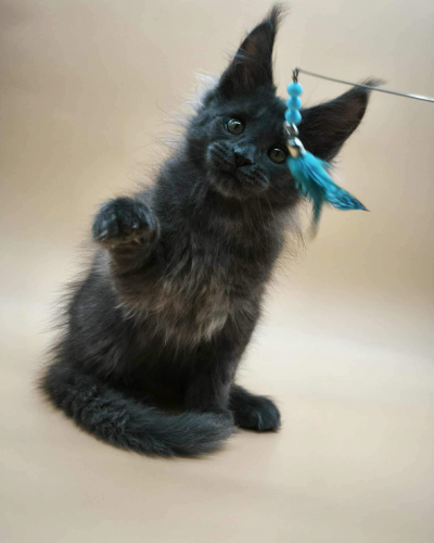 A4088326-E9CF-4695-8C6F-DA30B4EA77D2