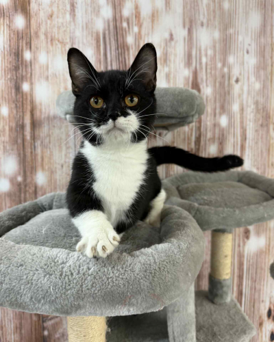 A6B289F3-3A1E-43F4-8B4B-CF1EC2E9C690