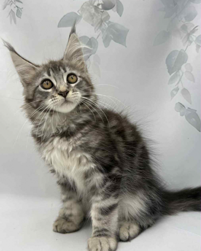 A6E853D2-BE50-44D8-99E8-6F1EA9F6DE29