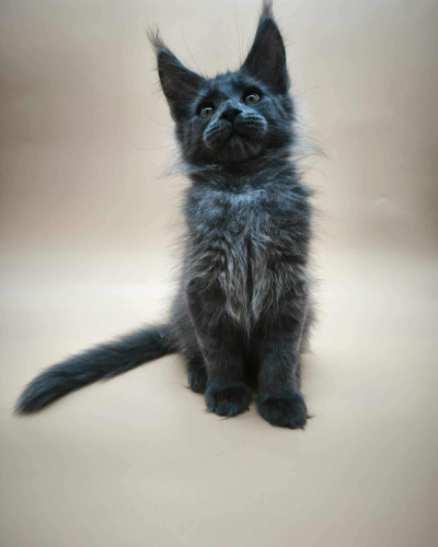 A9DDDE81-BF6A-4A00-975A-E3C2C4A64BB2