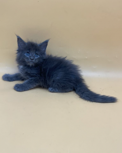 AA31292D-742A-4CE9-925E-1FDB15887ED0