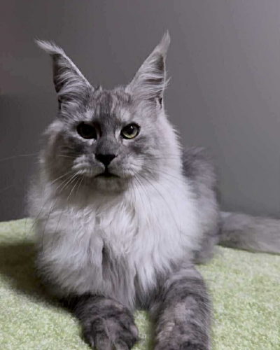 AA8DD35F-81BD-4643-BD00-F4DD82EEA34C