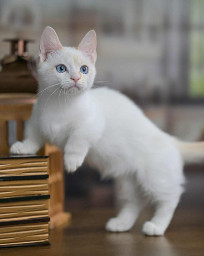 AA9C8C78-1EA7-477E-95F1-B4B797987296