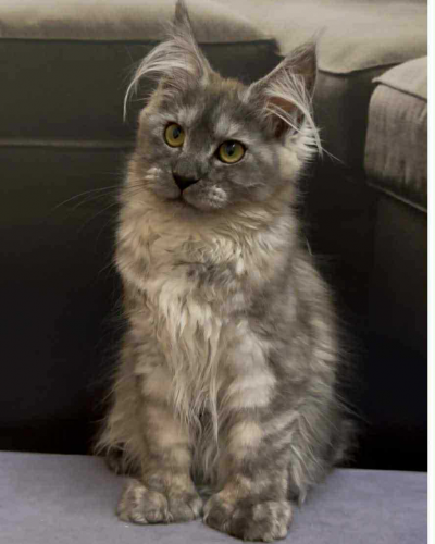 ADA7A90B-504C-40D7-9973-FE0478E72E00