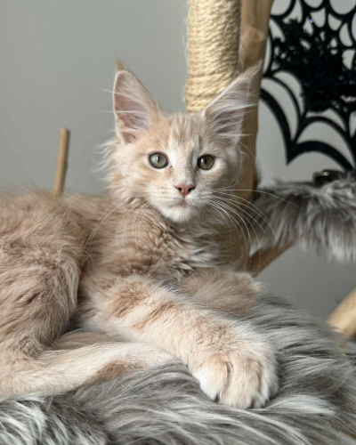 AE0E75A5-B81E-41EB-A242-F372C7B2A471