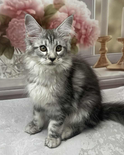 AE2BD4F7-90F9-447D-8AC2-65CBA0B36996