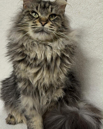 AE488A6E-A923-40FC-B699-AA2CA1C97BFE