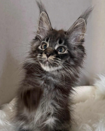 AFEBFDA1-D6C5-43B0-A1E8-6676594D75E1