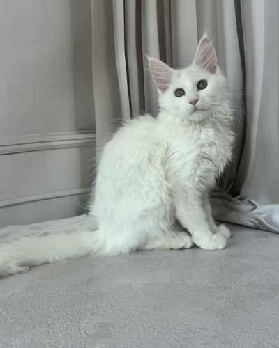 B01B3C03-DAE8-4F8F-9ED9-A4D225B84697