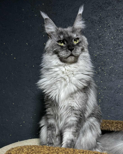 B02415B3-6DCD-422A-A99C-37E3378B53DB