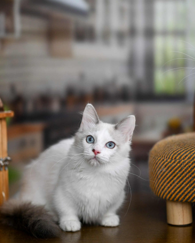 B17285D6-F773-4189-AB56-C8001557880B