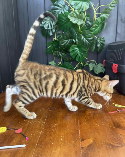 B348A948-1D97-4080-8805-3E97F00EFE20