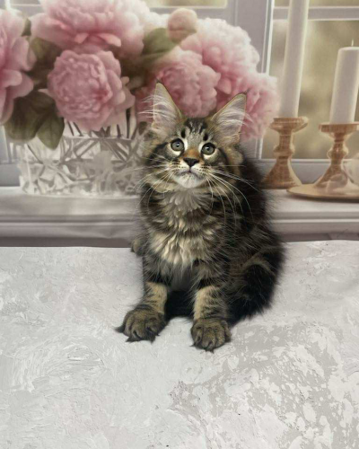 B40EA186-17AC-49C6-829F-778774E65A84