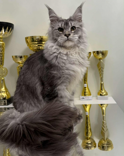 B458A17A-D450-40D9-8C99-D40CDDD58288