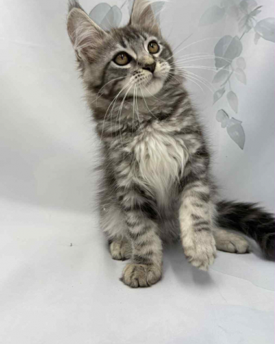 B55031A3-F3DC-4840-B9C0-A15D9B792850