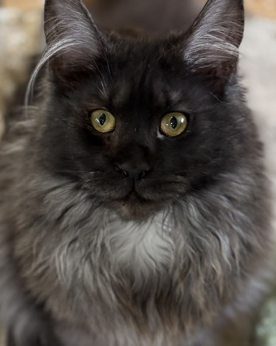 B5529F6F-3FCD-42C6-82B6-0D214DEEA3A7