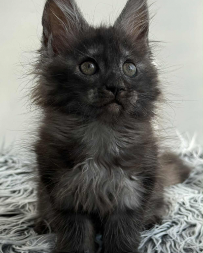 B5D52233-B8E9-4274-8122-807B659BE2E6