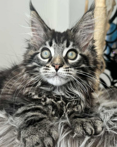 B66801BB-8F7F-4086-8770-6391D28DCFE2