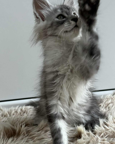 B6AC9B0D-AEDB-4408-B114-F8D8360B37D7