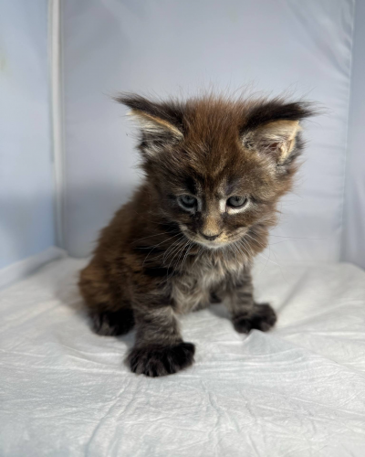 B70EDD32-5933-4AC9-B2DA-21E8D0E4E7AF