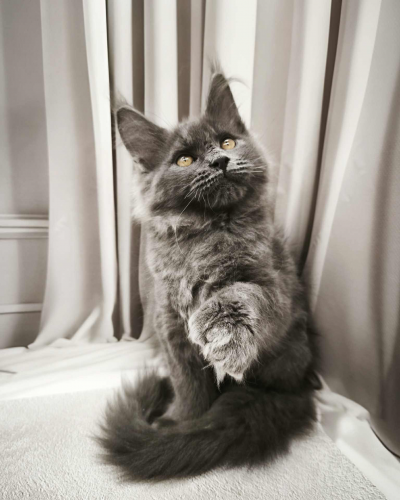 B78DF133-7455-4E8D-A8D1-017681B07EDB